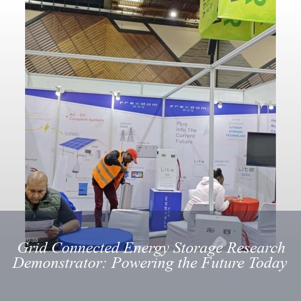 Grid Connected Energy Storage Research Demonstrator: Powering the Future Today