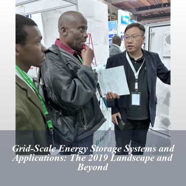 Grid-Scale Energy Storage Systems and Applications: The 2019 Landscape and Beyond