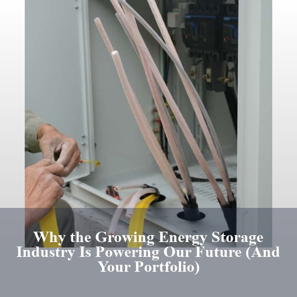 Why the Growing Energy Storage Industry Is Powering Our Future (And Your Portfolio)