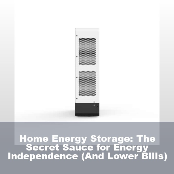 Home Energy Storage: The Secret Sauce for Energy Independence (And Lower Bills)