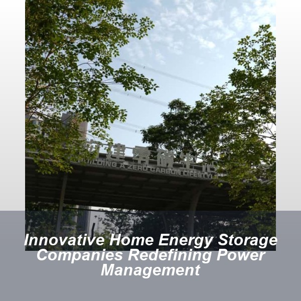 Innovative Home Energy Storage Companies Redefining Power Management