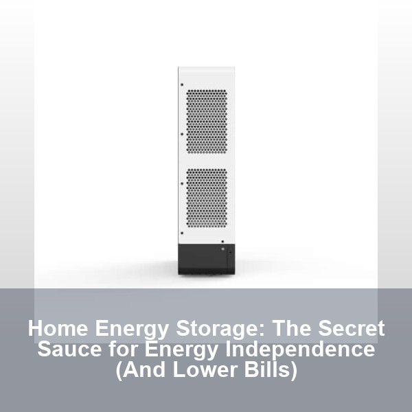 Home Energy Storage: The Secret Sauce for Energy Independence (And Lower Bills)