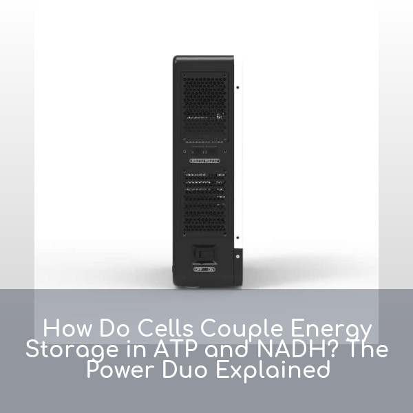 How Do Cells Couple Energy Storage in ATP and NADH? The Power Duo Explained
