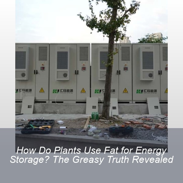 How Do Plants Use Fat for Energy Storage? The Greasy Truth Revealed