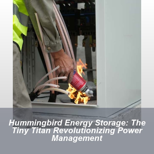 Hummingbird Energy Storage: The Tiny Titan Revolutionizing Power Management
