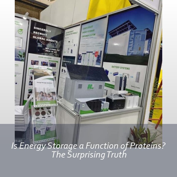 Is Energy Storage a Function of Proteins? The Surprising Truth