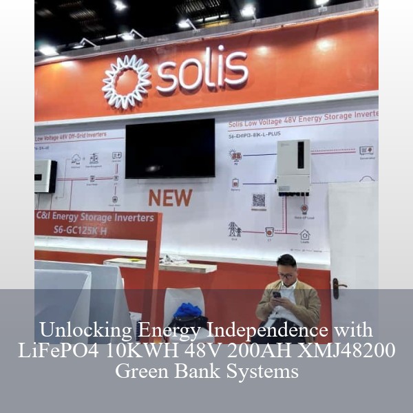 Unlocking Energy Independence with LiFePO4 10KWH 48V 200AH XMJ48200 Green Bank Systems