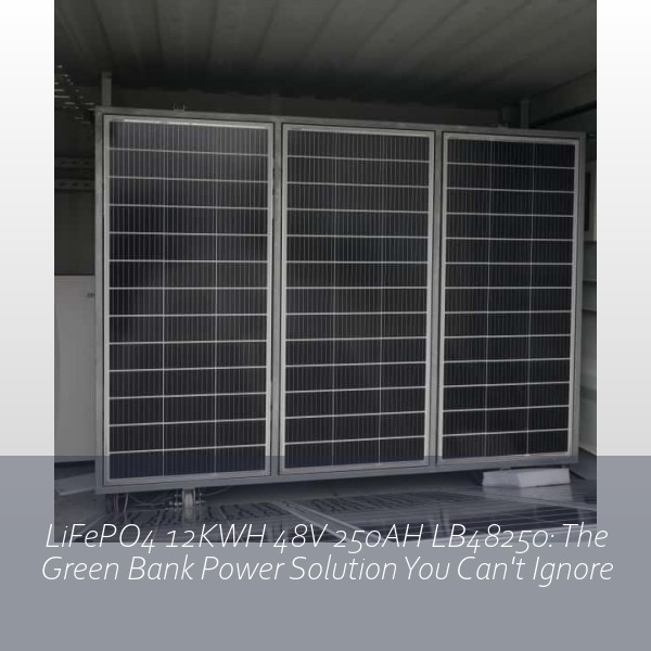 LiFePO4 12KWH 48V 250AH LB48250: The Green Bank Power Solution You Can't Ignore