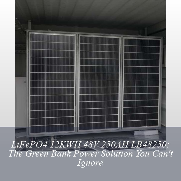 LiFePO4 12KWH 48V 250AH LB48250: The Green Bank Power Solution You Can't Ignore