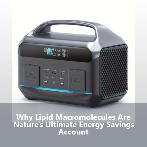 Why Lipid Macromolecules Are Nature's Ultimate Energy Savings Account