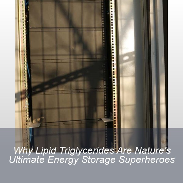 Why Lipid Triglycerides Are Nature's Ultimate Energy Storage Superheroes