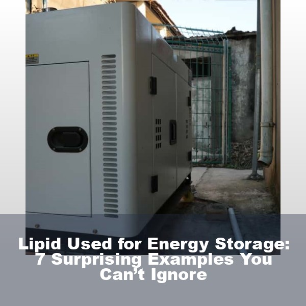 Lipid Used for Energy Storage: 7 Surprising Examples You Can’t Ignore