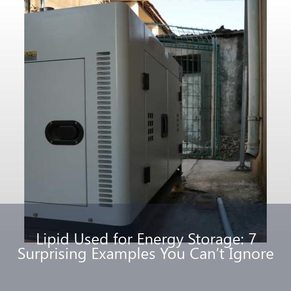 Lipid Used for Energy Storage: 7 Surprising Examples You Can’t Ignore