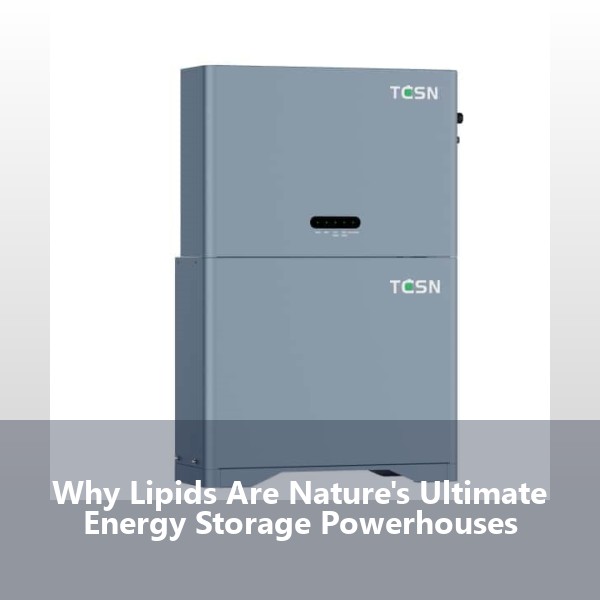 Why Lipids Are Nature's Ultimate Energy Storage Powerhouses