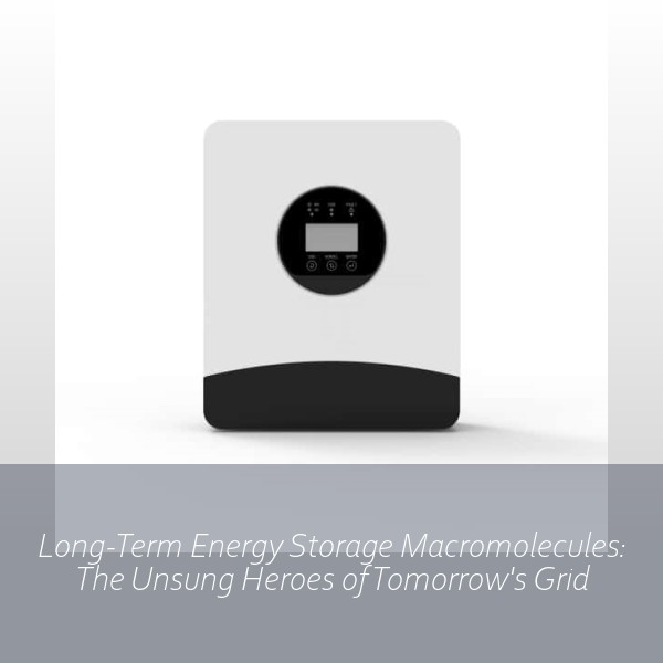 Long-Term Energy Storage Macromolecules: The Unsung Heroes of Tomorrow's Grid