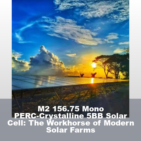 M2 156.75 Mono PERC-Crystalline 5BB Solar Cell: The Workhorse of Modern Solar Farms
