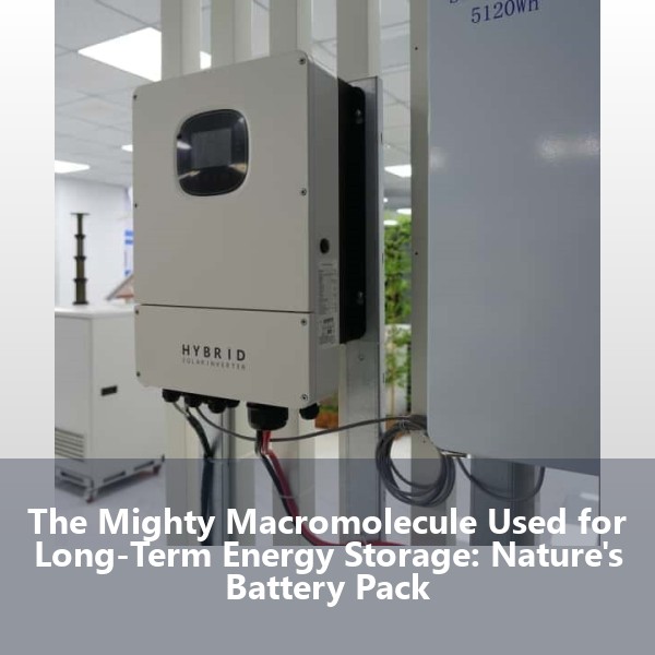 The Mighty Macromolecule Used for Long-Term Energy Storage: Nature's Battery Pack