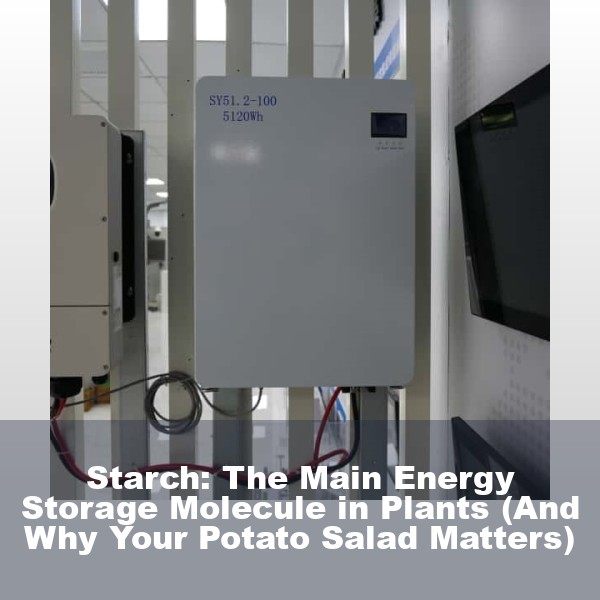 Starch: The Main Energy Storage Molecule in Plants (And Why Your Potato Salad Matters)