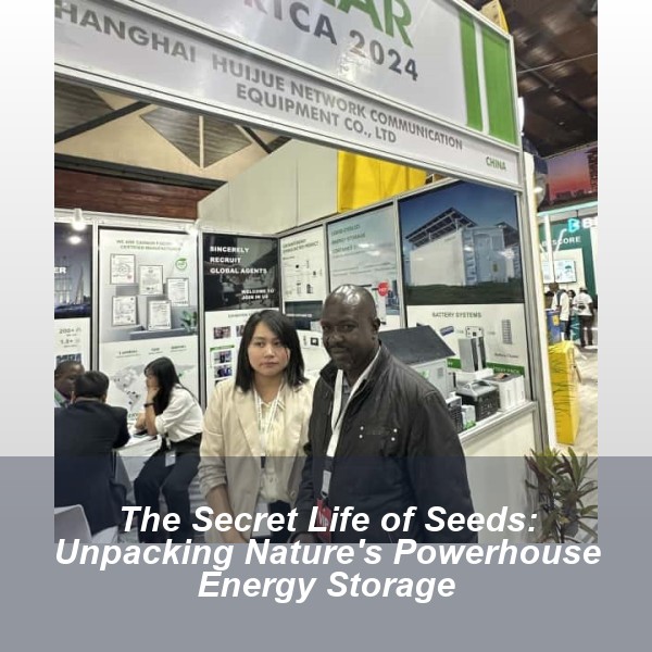The Secret Life of Seeds: Unpacking Nature's Powerhouse Energy Storage