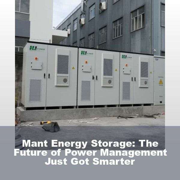 Mant Energy Storage: The Future of Power Management Just Got Smarter