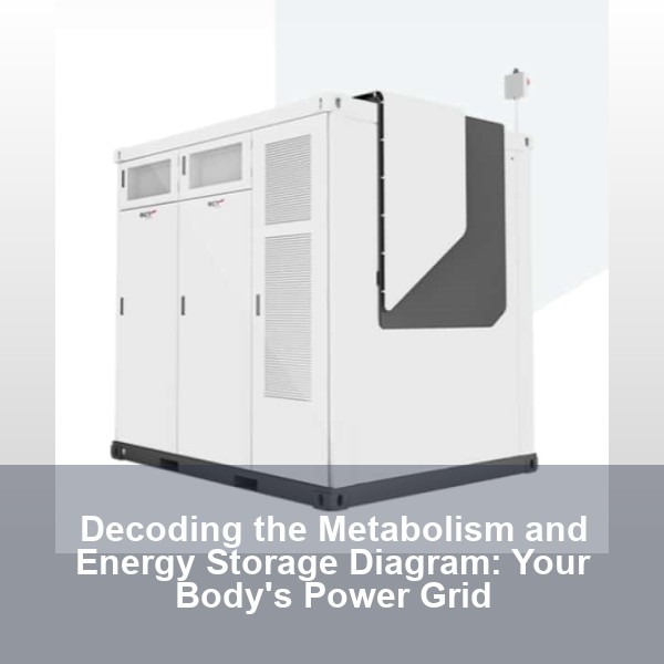 Decoding the Metabolism and Energy Storage Diagram: Your Body's Power Grid