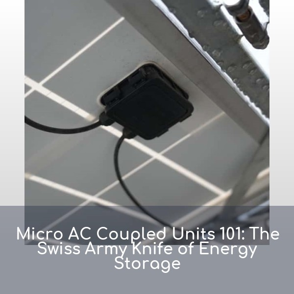 Micro AC Coupled Units 101: The Swiss Army Knife of Energy Storage