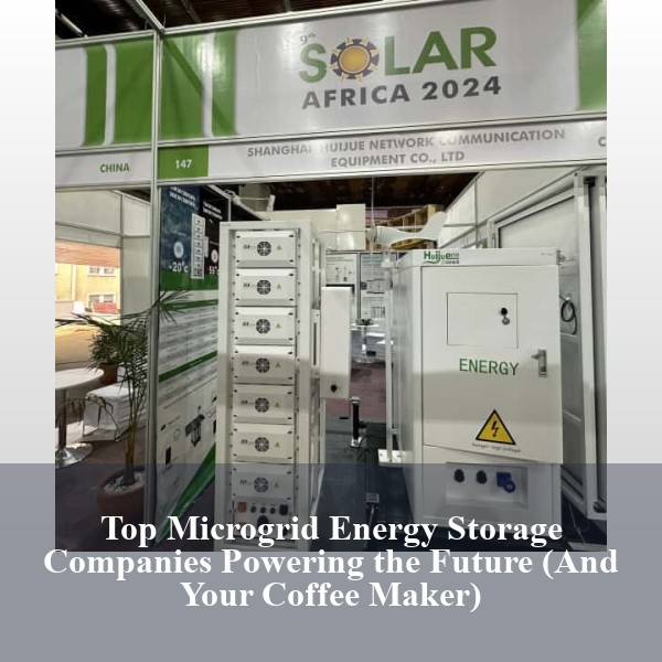 Top Microgrid Energy Storage Companies Powering the Future (And Your Coffee Maker)
