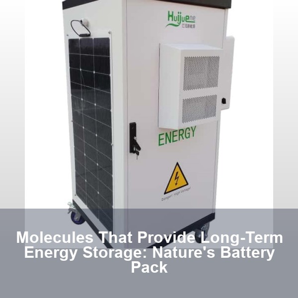 Molecules That Provide Long-Term Energy Storage: Nature's Battery Pack