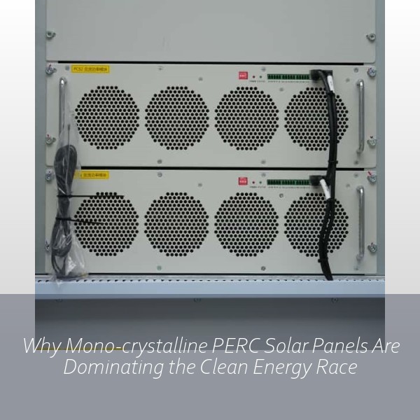 Why Mono-crystalline PERC Solar Panels Are Dominating the Clean Energy Race