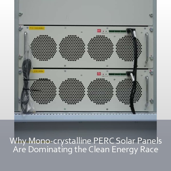 Why Mono-crystalline PERC Solar Panels Are Dominating the Clean Energy Race