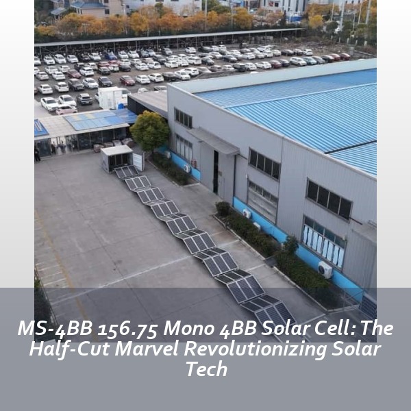 MS-4BB 156.75 Mono 4BB Solar Cell: The Half-Cut Marvel Revolutionizing Solar Tech