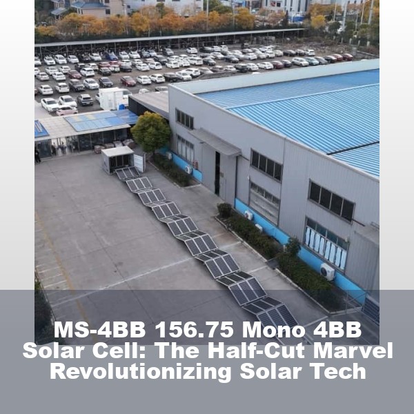 MS-4BB 156.75 Mono 4BB Solar Cell: The Half-Cut Marvel Revolutionizing Solar Tech