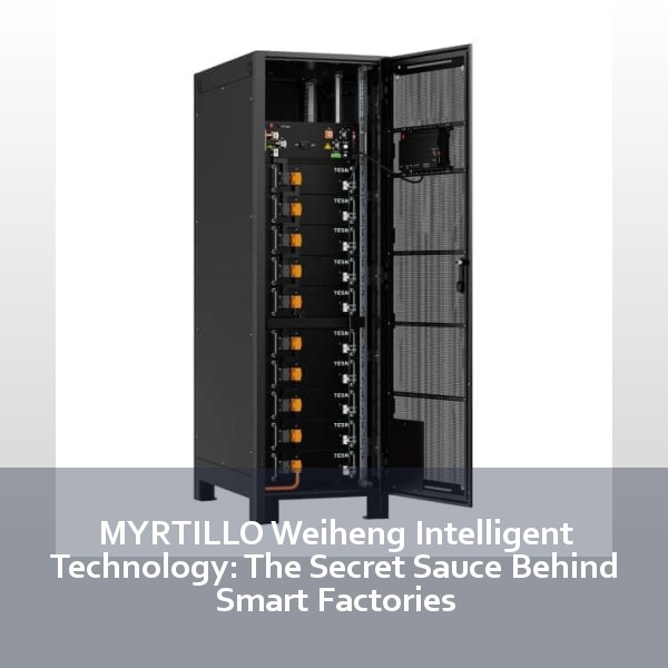 MYRTILLO Weiheng Intelligent Technology: The Secret Sauce Behind Smart Factories