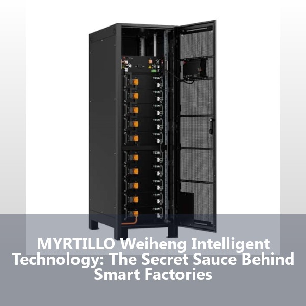 MYRTILLO Weiheng Intelligent Technology: The Secret Sauce Behind Smart Factories