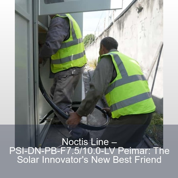 Noctis Line – PSI-DN-PB-F7.5/10.0-LV Peimar: The Solar Innovator's New Best Friend