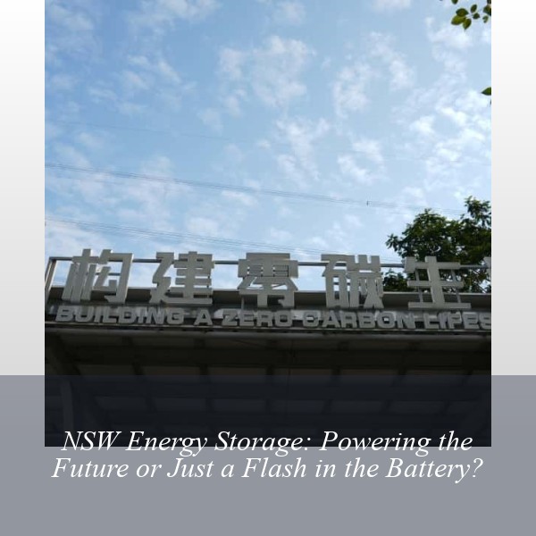 NSW Energy Storage: Powering the Future or Just a Flash in the Battery?