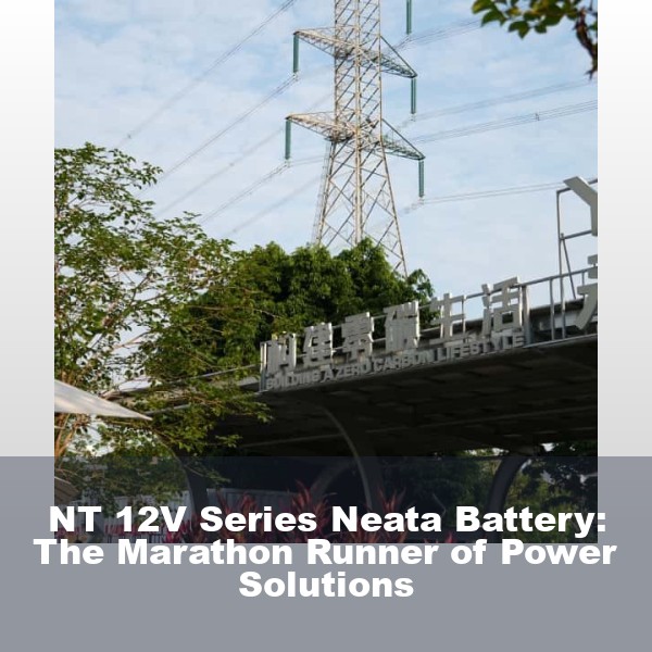 NT 12V Series Neata Battery: The Marathon Runner of Power Solutions