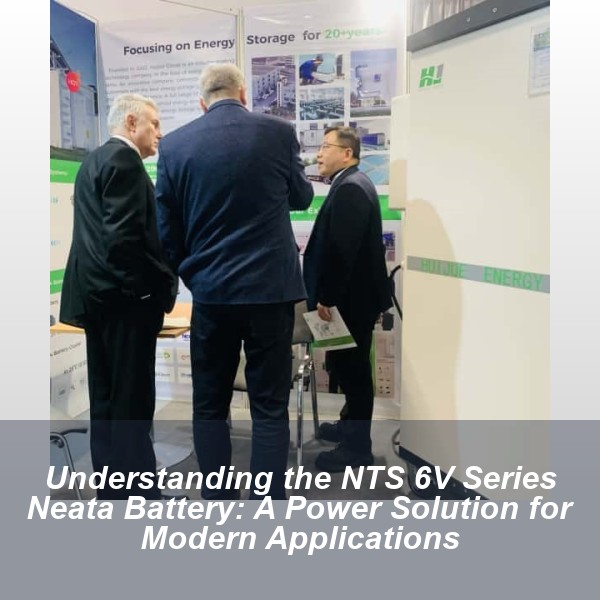 Understanding the NTS 6V Series Neata Battery: A Power Solution for Modern Applications