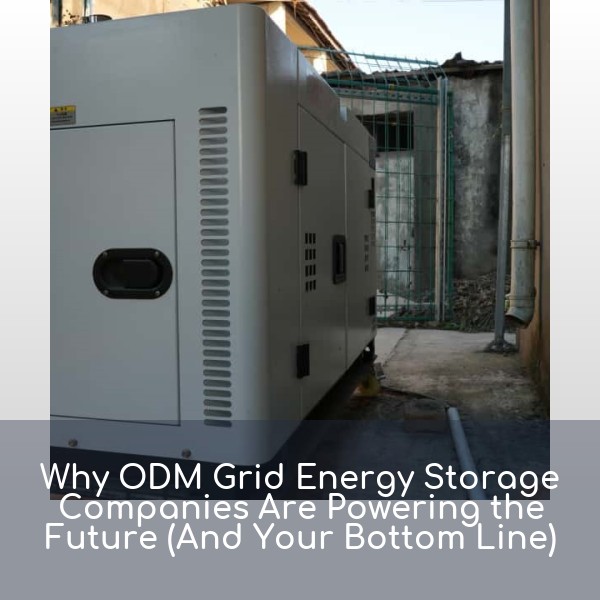 Why ODM Grid Energy Storage Companies Are Powering the Future (And Your Bottom Line)