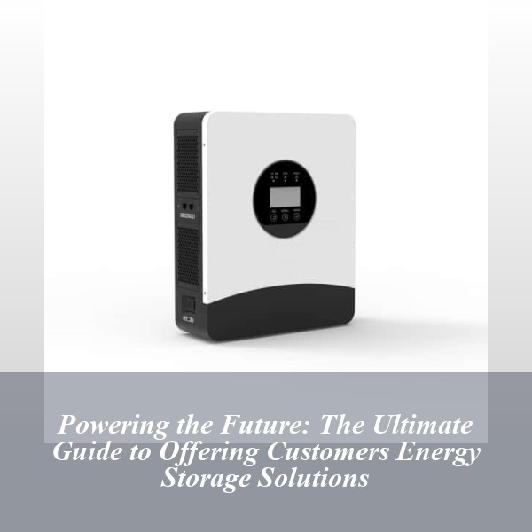 Powering the Future: The Ultimate Guide to Offering Customers Energy Storage Solutions