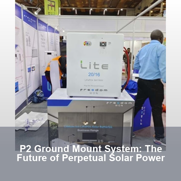 P2 Ground Mount System: The Future of Perpetual Solar Power
