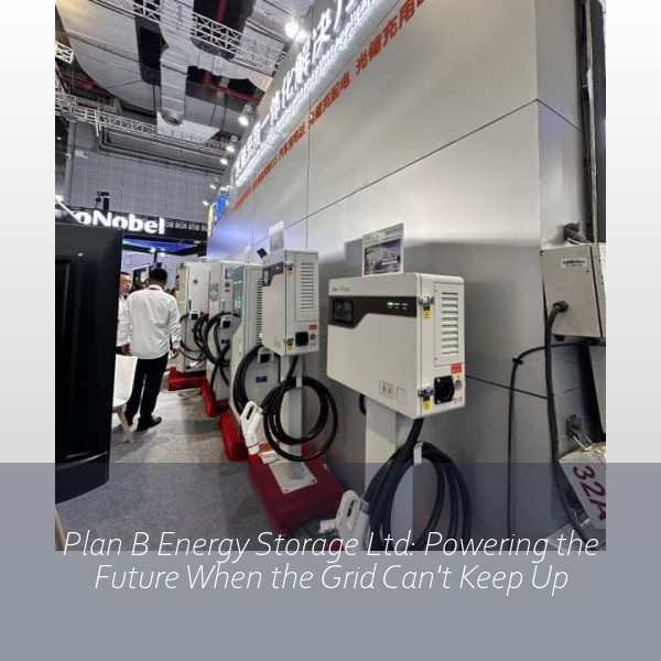 Plan B Energy Storage Ltd: Powering the Future When the Grid Can't Keep Up