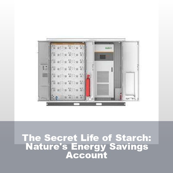 The Secret Life of Starch: Nature's Energy Savings Account