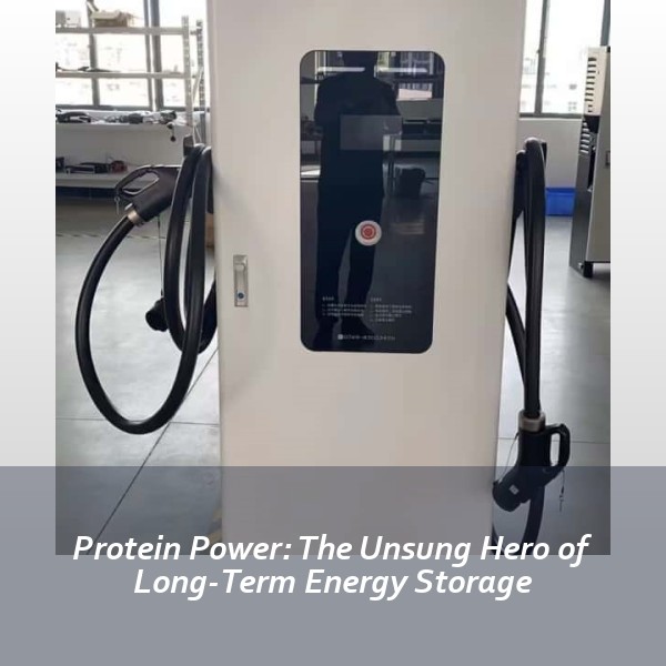 Protein Power: The Unsung Hero of Long-Term Energy Storage