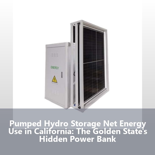 Pumped Hydro Storage Net Energy Use in California: The Golden State's Hidden Power Bank