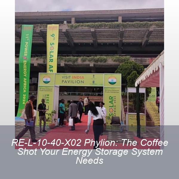 RE-L-10-40-X02 Phylion: The Coffee Shot Your Energy Storage System Needs