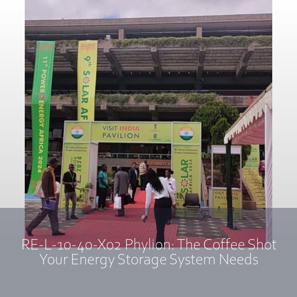RE-L-10-40-X02 Phylion: The Coffee Shot Your Energy Storage System Needs