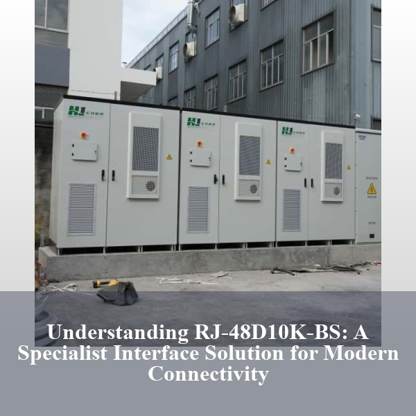 Understanding RJ-48D10K-BS: A Specialist Interface Solution for Modern Connectivity