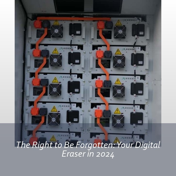 The Right to Be Forgotten: Your Digital Eraser in 2024