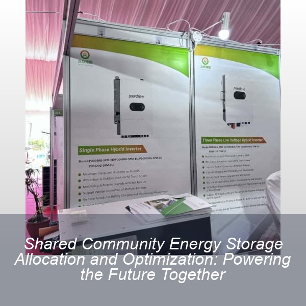Shared Community Energy Storage Allocation and Optimization: Powering the Future Together